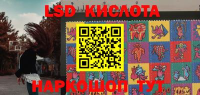 винт Можга